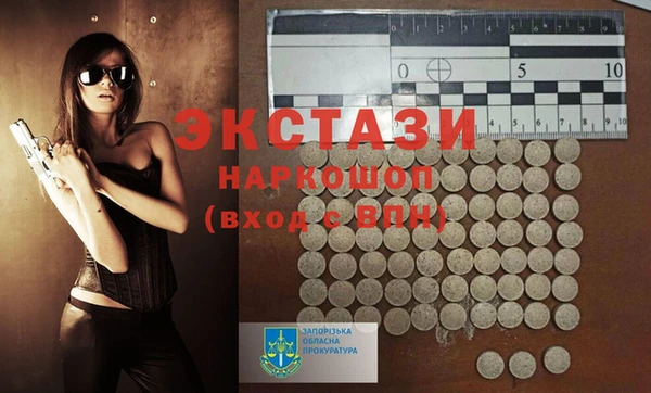 шишки Надым