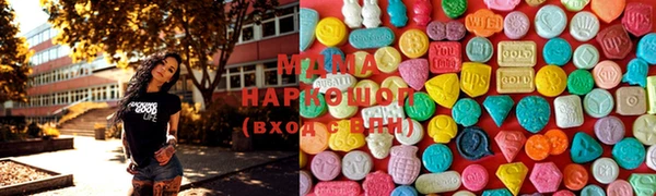 шишки Надым